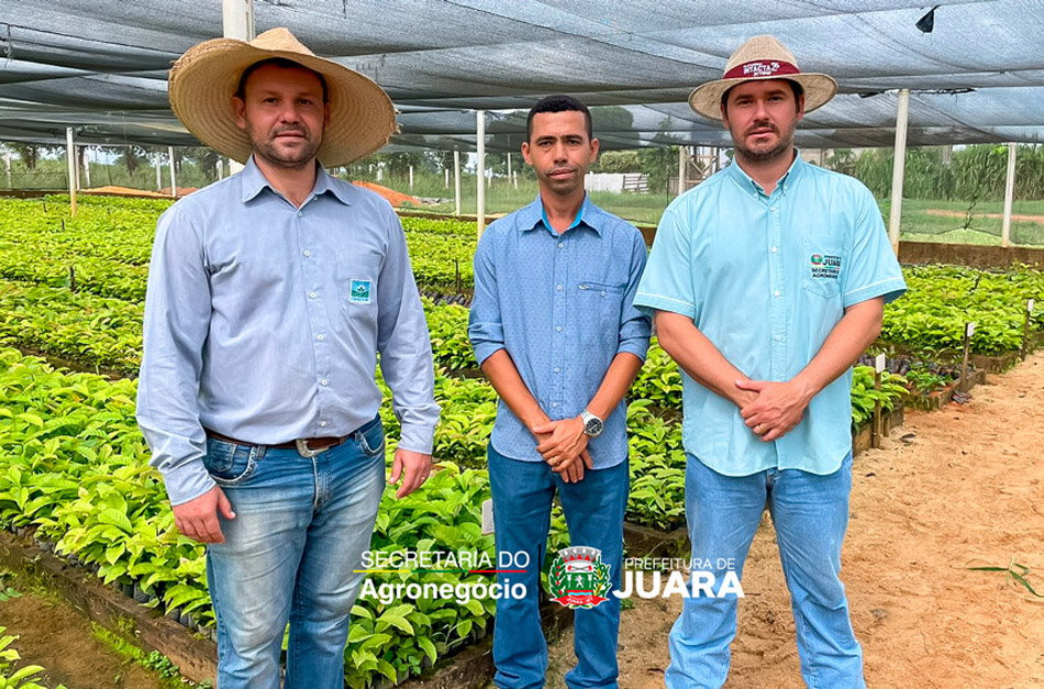 Secretaria de Agricultura realiza entrega de mudas clonais de café