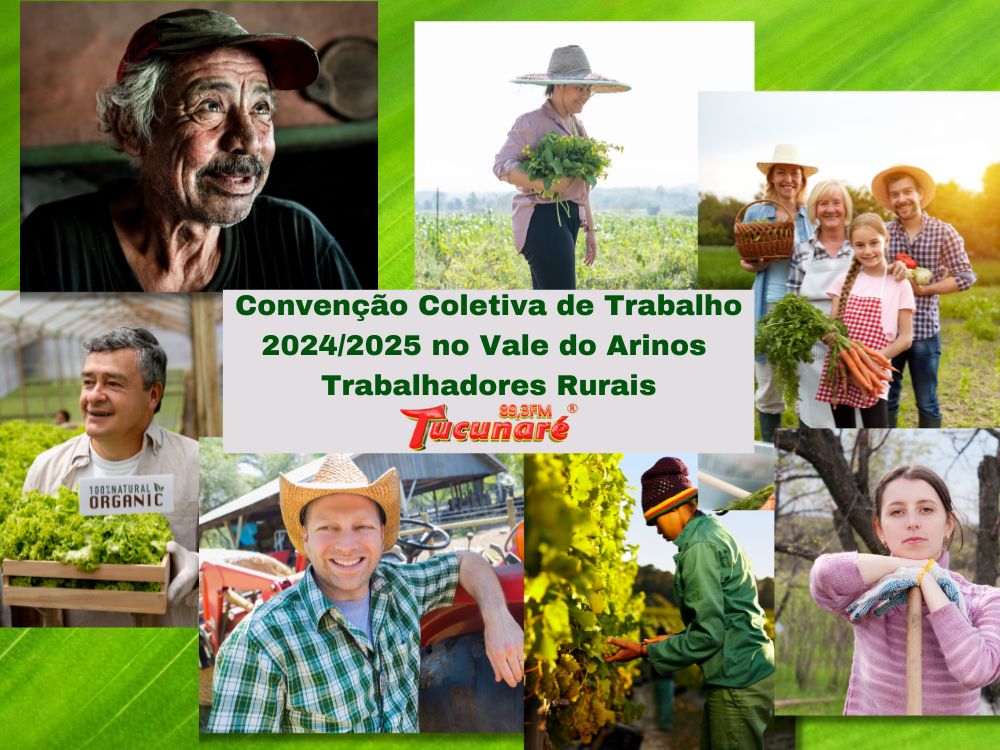 Convenção Coletiva De Trabalho 2024/2025 Foi Firmada No Vale Do Arinos ...