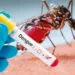 Aumenta em Juara o índice de infestação do mosquito da dengue, aponta LIRA