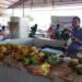 Produtor há 39 anos em Águas Claras destaca vendas de bananas na feira Livre em Juara