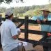 “Não comprem produtos de ambulantes”, alerta veterinário do INDEA durante reestreia do Tucunaré Rural na 89,3 FM