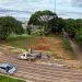 Retirada de árvores na Praça dos Colonizadores gera debate após anúncio de nova quadra de basquete e gestores se manifestam