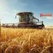 Agro brasileiro exporta US$ 16 bilhões em maio e confirma força no mercado mundial