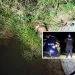 Polícia Civil de Juara investiga morte após localização de corpo de um homem próximo na MT-325 saída para o Jaú