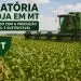 Moratória não cai: Tribunal Superior Federal mantém acordo e autoriza Mato Grosso a retirar incentivos