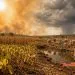 El Niño “ultra” acende alerta: o que você precisa saber sobre os impactos no Vale do Arinos