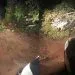 Queda de árvores após ventania dificulta trânsito em estrada entre Juara e a comunidade Porta do Céu