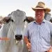 Acrimat alerta para pressão sobre pecuaristas; cenário preocupa Juara, terceiro maior rebanho bovino de Mato Grosso