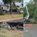 Fortes ventos derrubam árvore e mobilizam equipe na Avenida Arinos, em Juara