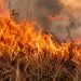 Risco de incêndios coloca Mato Grosso em alerta e aumenta atenção em Juara e no Vale do Arinos
