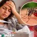 Gripe ou dengue? Vigilância de Juara alerta para sintomas que podem confundir