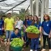 Horta escolar da Escola Estadual Plena Daury Riva fortalece o aprendizado científico e incentiva o agronegócio