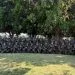 Jovens atiradores de Juara participam de Acampamento Básico de Instrução com atividades militares e ambientais